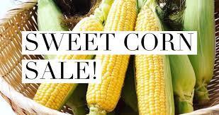 Sweet Corn 